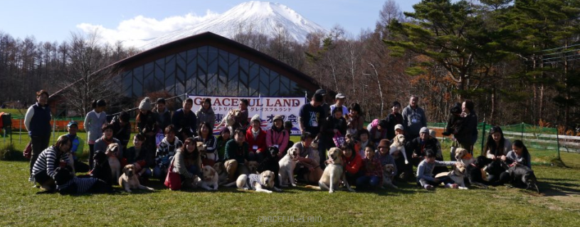 グレイスフルランドから旅立った子犬たちは全国各地にいます。それぞれのオーナーさん達が自主的に立ち上げた地域ごとのグレイスフルランドオーナーズ倶楽部もあり、オフ会などの交流も行われています。 全国のグレイスフルランドの輪
